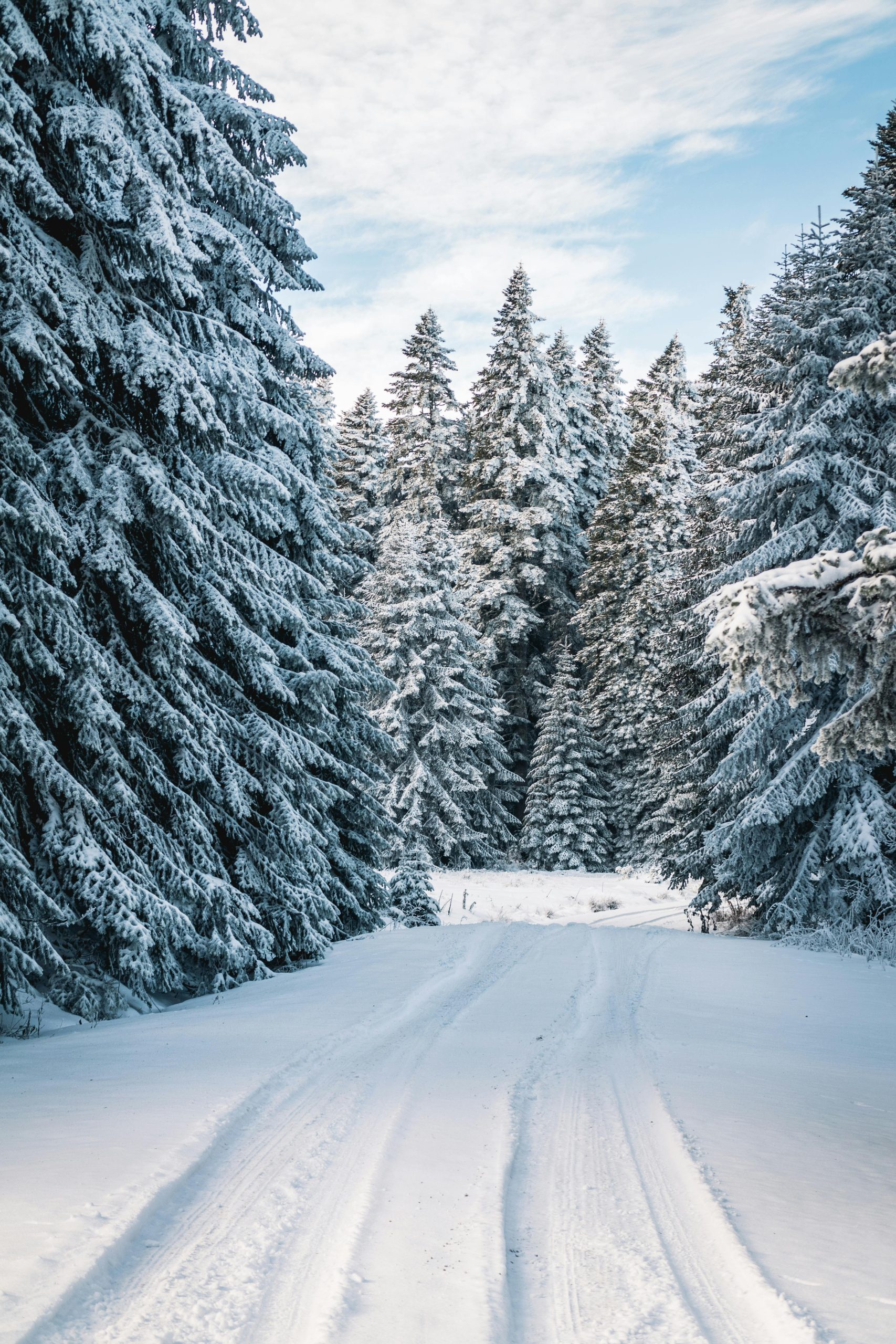 Complete Video Series 2023 CSPM&R Annual Meetings Winter (5.25 CME)
